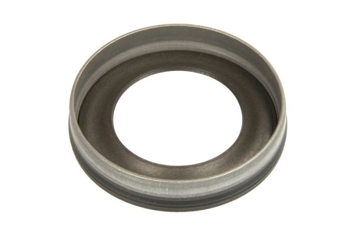 1462C85998 BOSCH Сальник вала ТНВД CP4 тефлоновый (25х36х7.3)